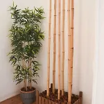 For Friends Apartman *